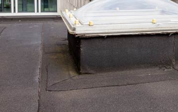 disadvantages of Garrochtrie flat roofs