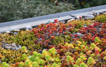 the cost of Garrochtrie green roof installation