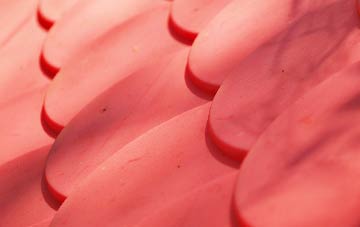 Garrochtrie plastic roof costs