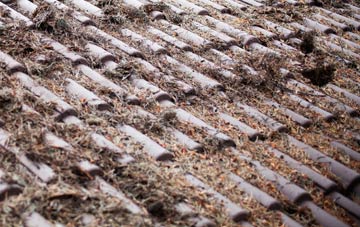 Garrochtrie roof cleaning companies